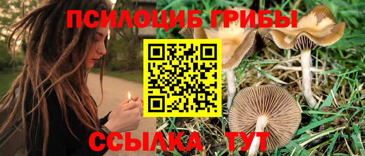 Псилоцибиновые грибы Magic Shrooms Королёв