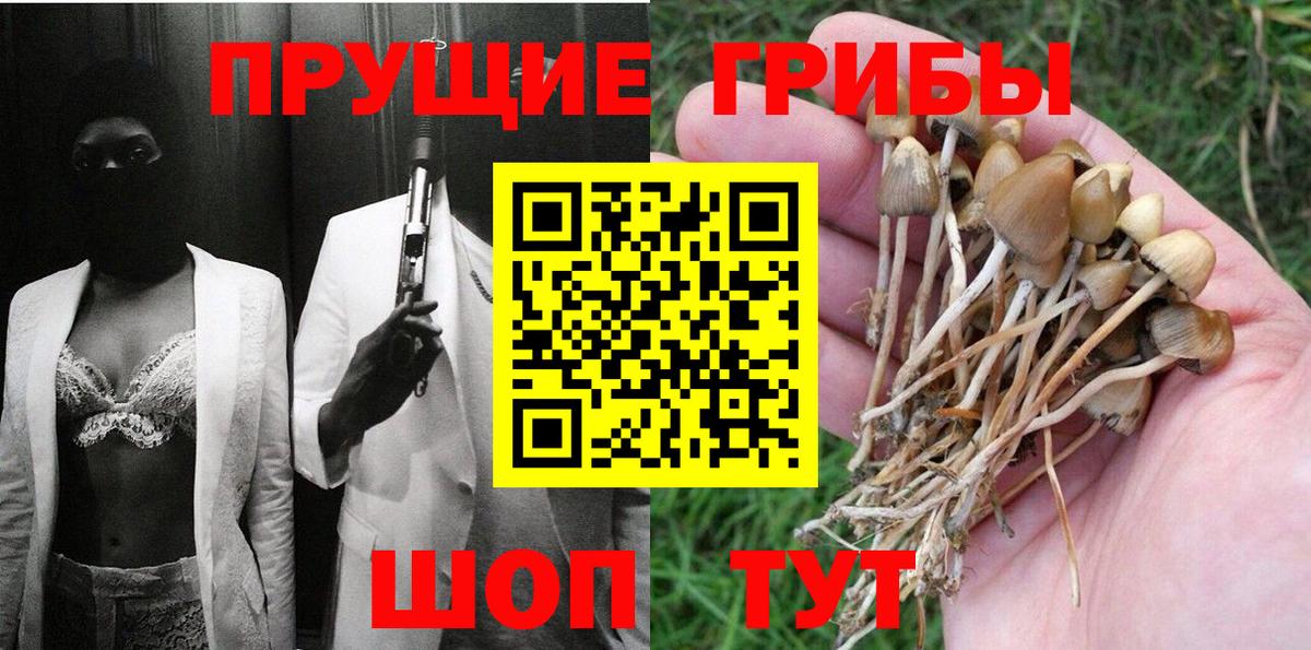Королёв  Псилоцибиновые грибы мицелий  Вход с VPN 